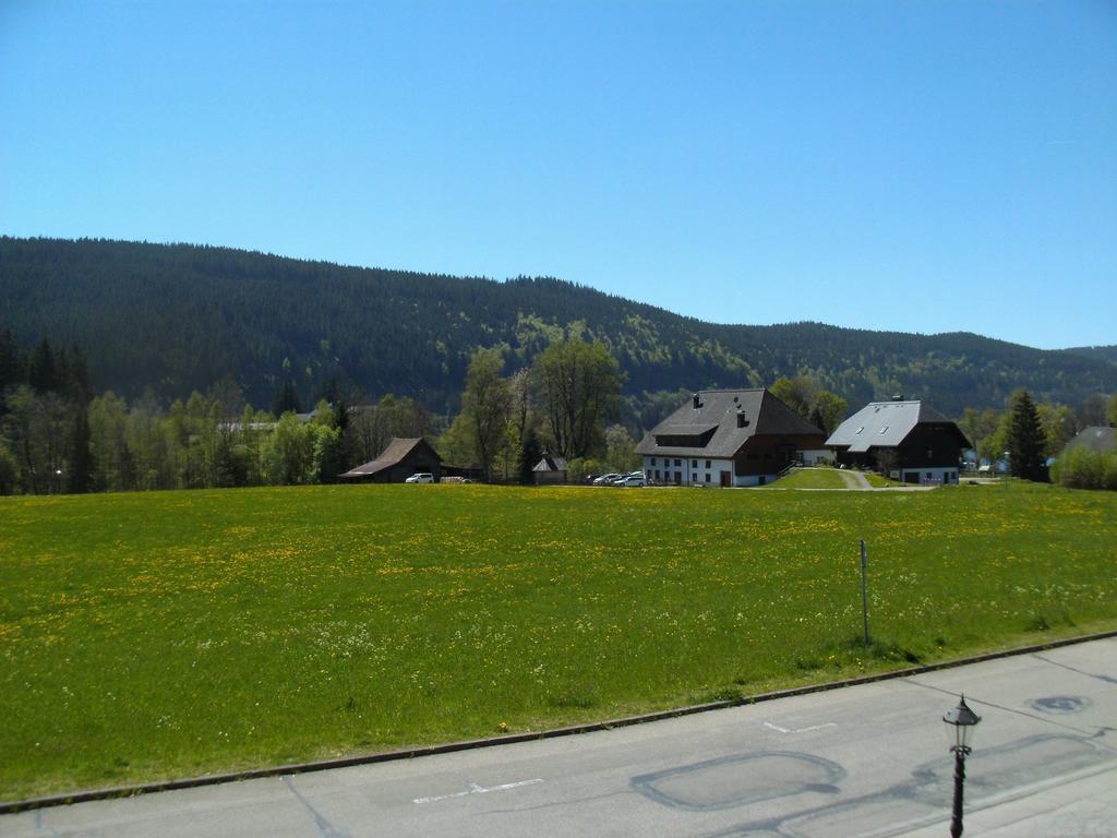 Rheingold Garni Titisee-Neustadt