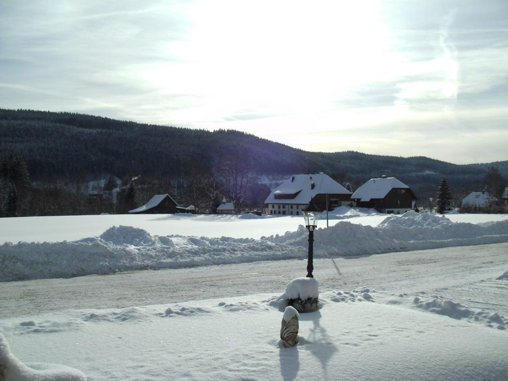 Frühstückspension Rheingold Garni Titisee-Neustadt