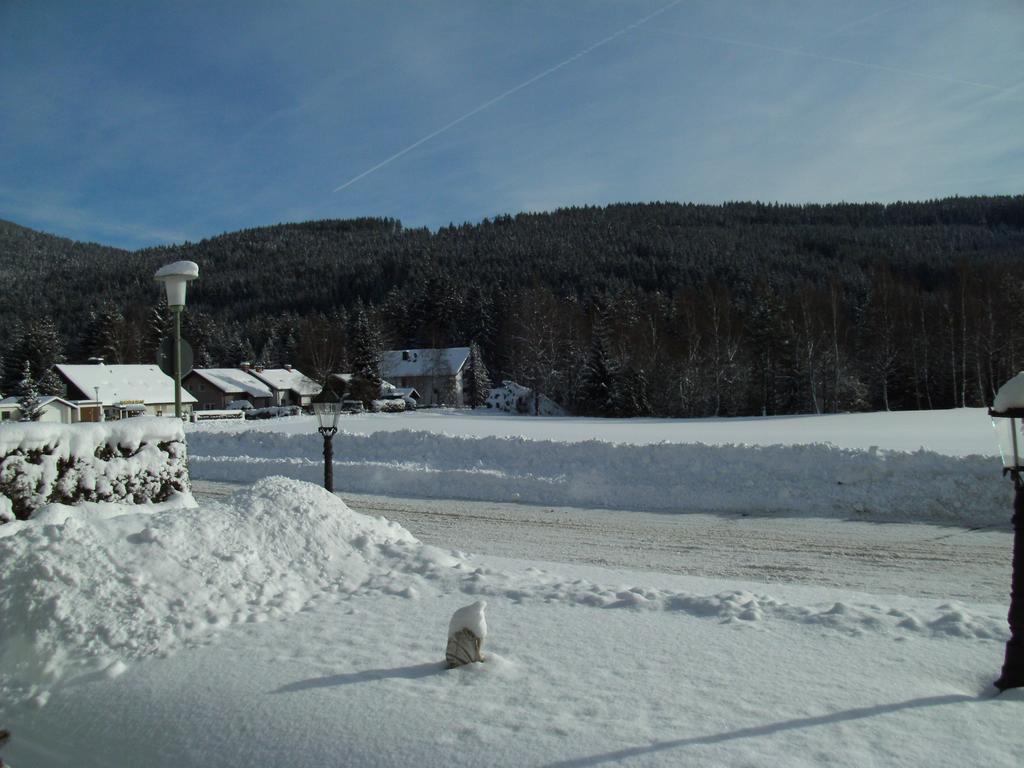 Rheingold Garni 3* Titisee-Neustadt